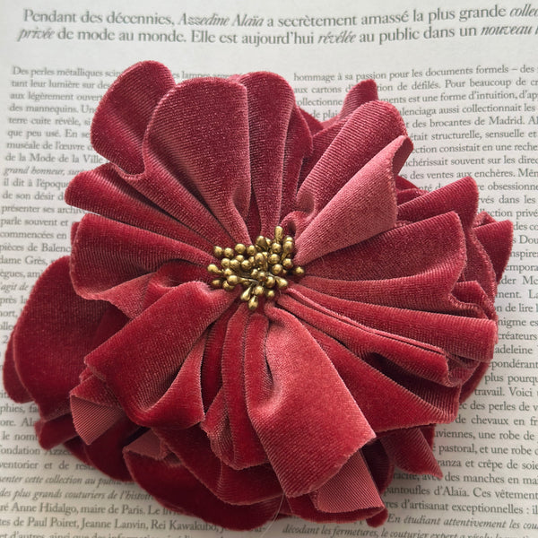 LE FLORENTINE ROSA