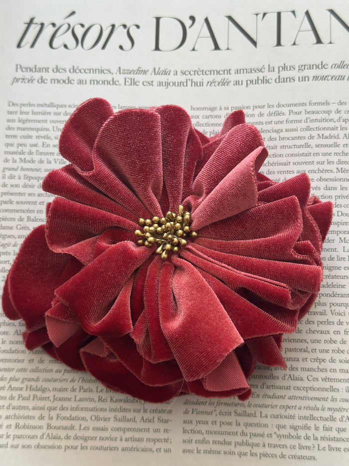 LE FLORENTINE ROSA
